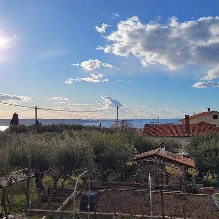 Apartma Isabella Sečovlje Exterior foto
